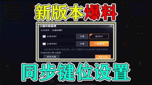 精英最新版本爆料大全,揭秘全新功能与升级亮点